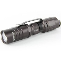 Pro1 LED Flashlight, Titanium Gray, 154 lm, 1 x 1.5V AA